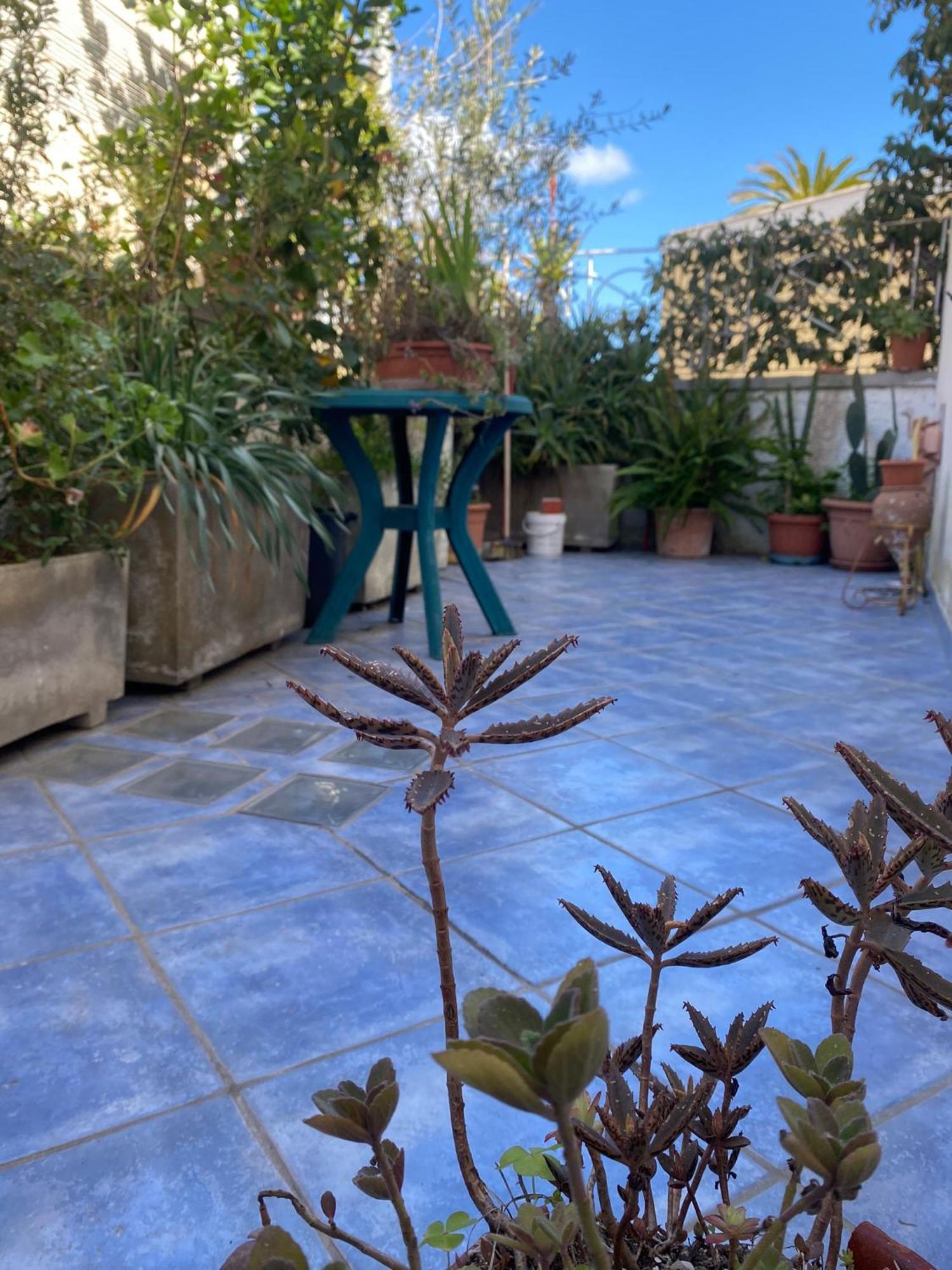 Casa Vacanza Maronti Barano dʼIschia Exteriér fotografie